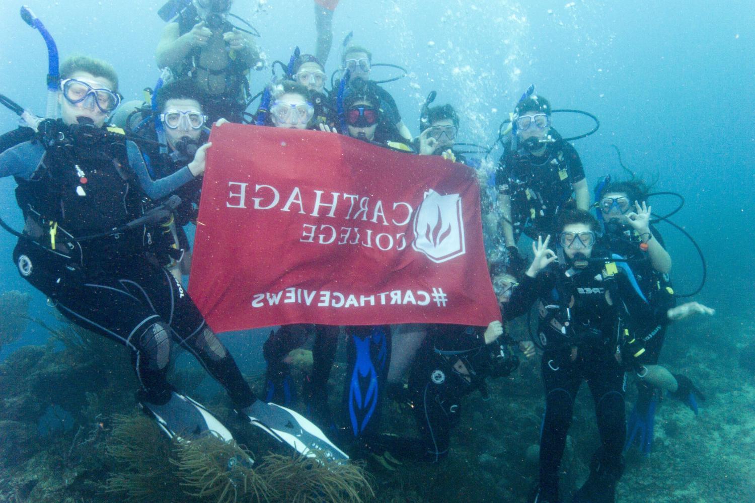 学生们手持<a href='http://nscj.ngskmc-eis.net'>bv伟德ios下载</a>旗帜，在j学期洪都拉斯游学之旅中潜水.